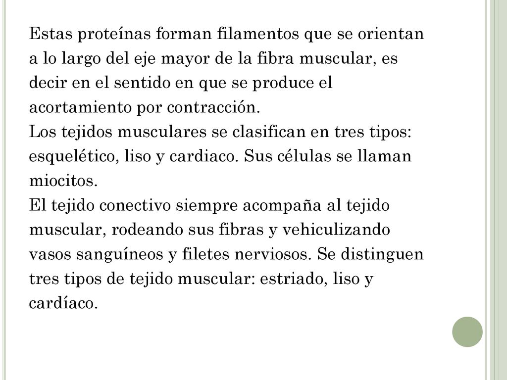 Estas proteínas forman filamentos que se orientan a lo largo del eje mayor de la fibra muscular, es decir en el sentido en que se produce el acortamiento por contracción.