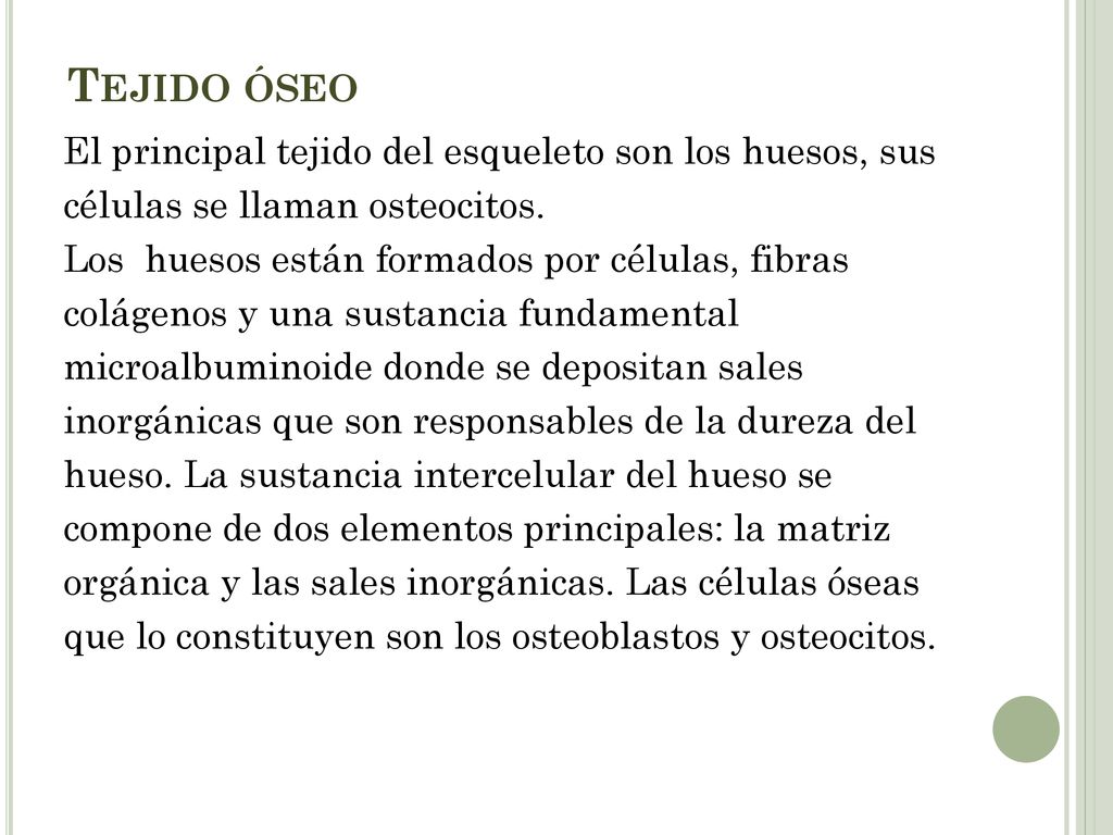 Tejido óseo El principal tejido del esqueleto son los huesos, sus