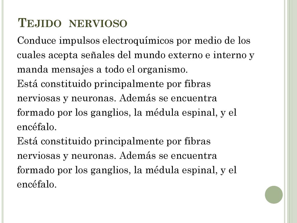 Tejido nervioso Conduce impulsos electroquímicos por medio de los