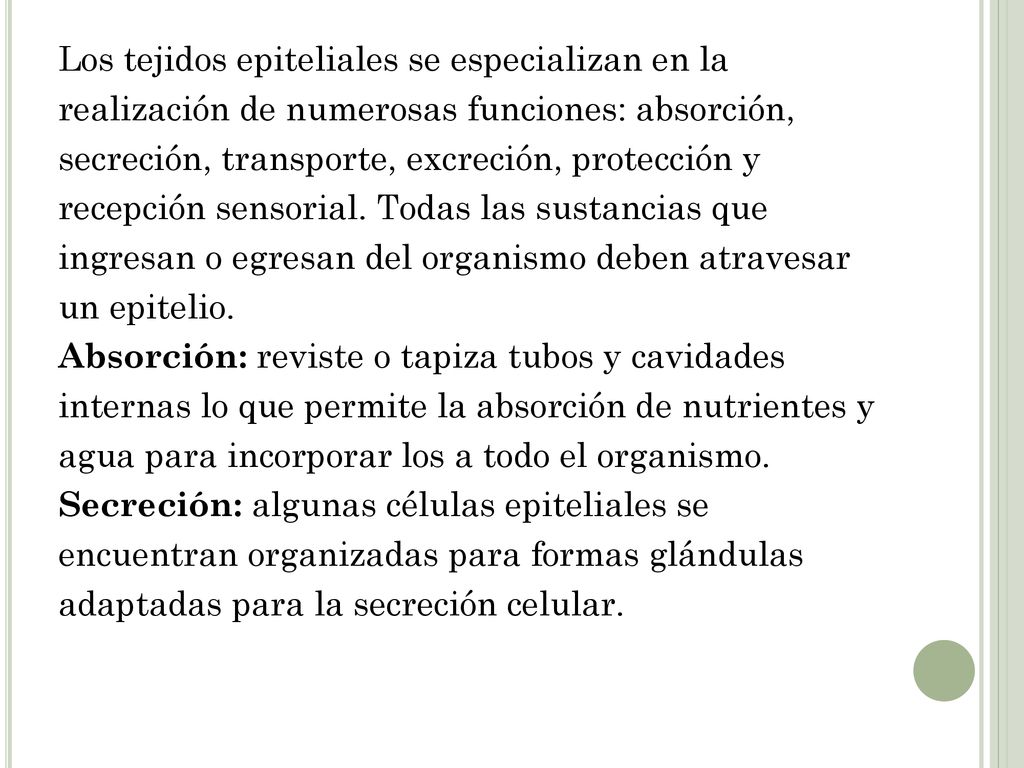Los tejidos epiteliales se especializan en la realización de numerosas funciones: absorción, secreción, transporte, excreción, protección y recepción sensorial.