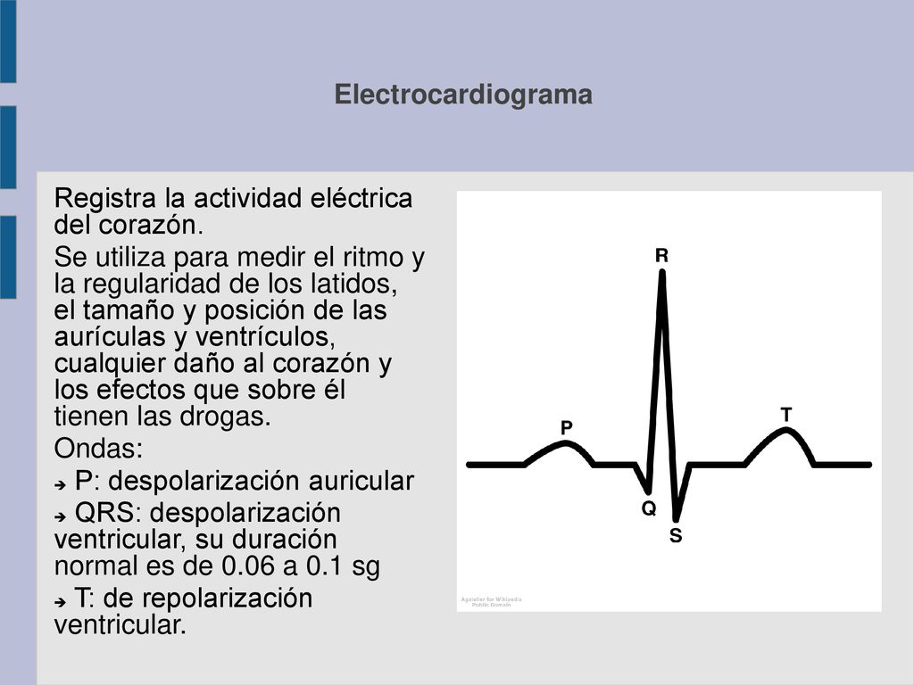 Electrocardiograma Registra la actividad eléctrica del corazón.