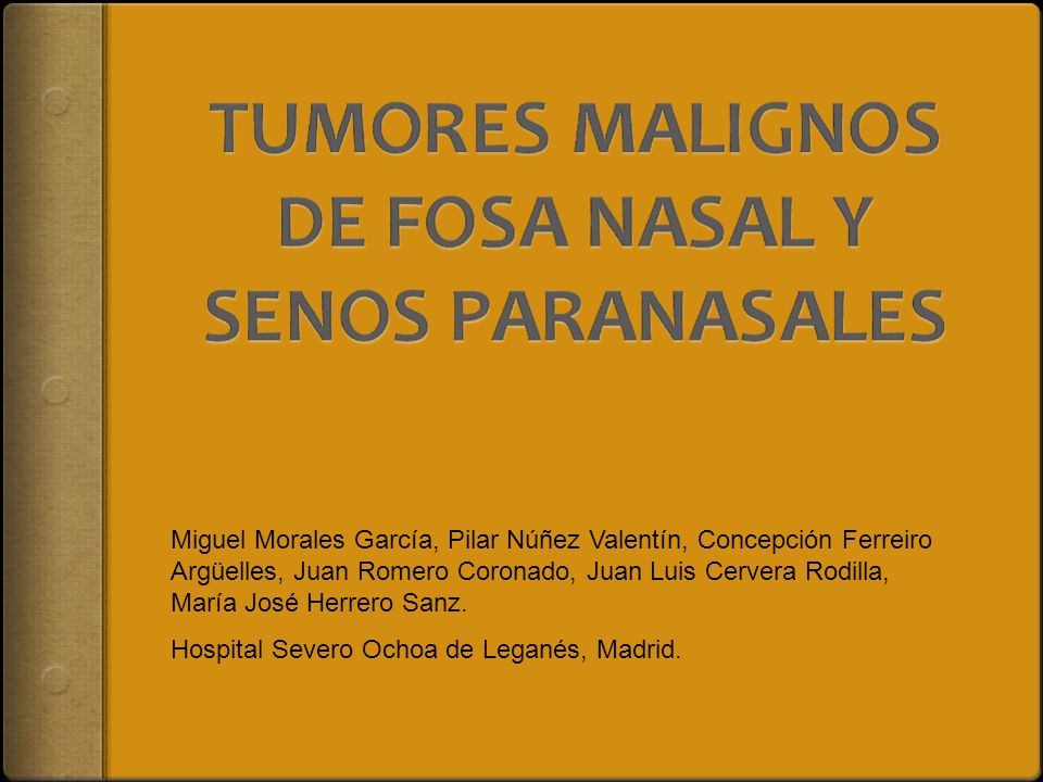 Miguel Morales García, Pilar Núñez Valentín, Concepción Ferreiro Argüelles, Juan Romero Coronado, Juan Luis Cervera Rodilla, María José Herrero Sanz.