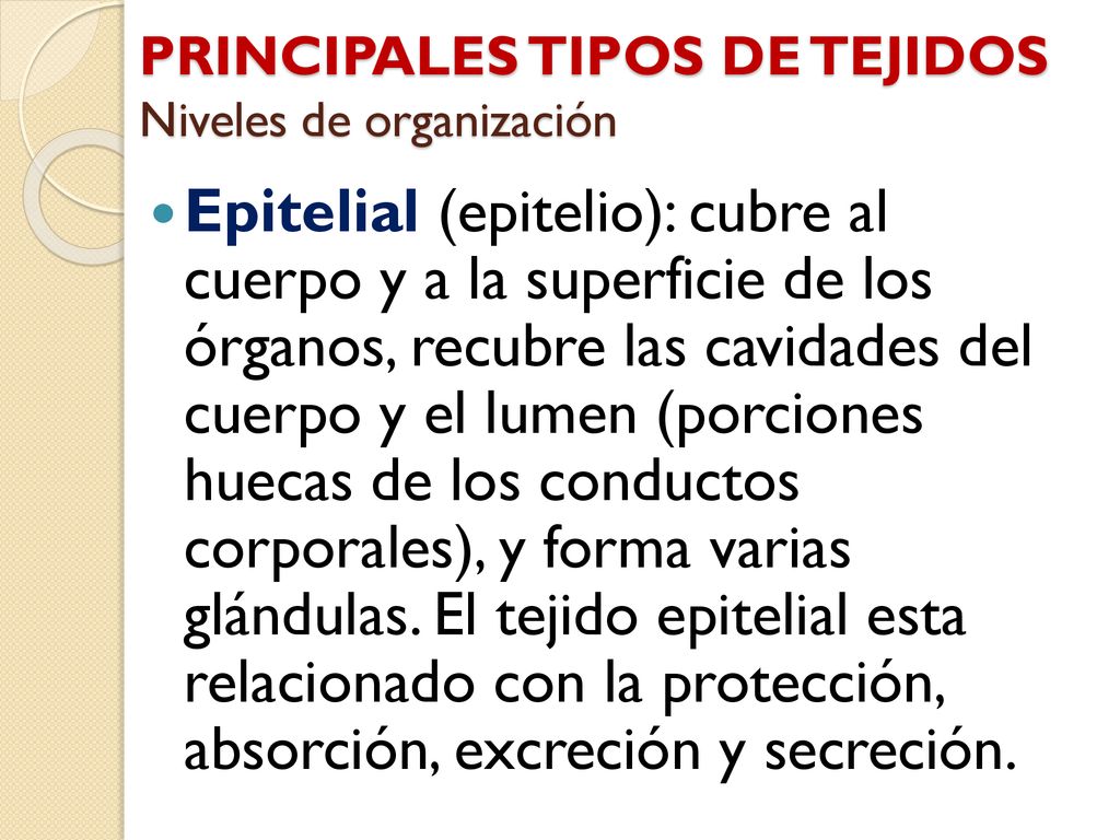 PRINCIPALES TIPOS DE TEJIDOS Niveles de organización