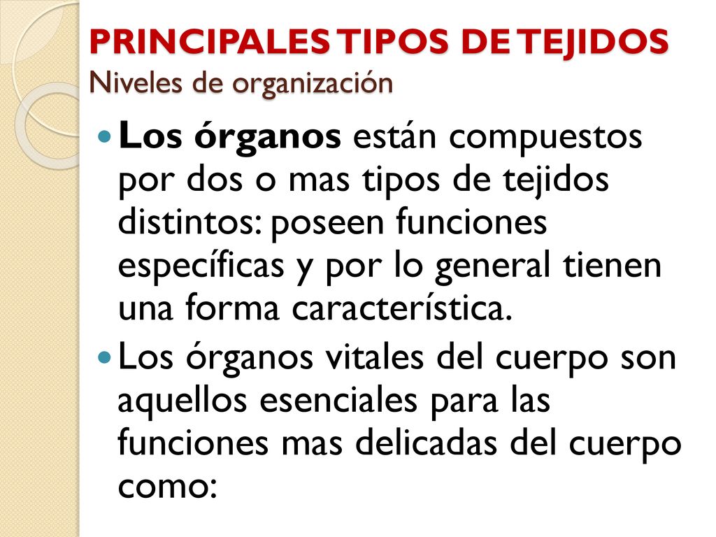 PRINCIPALES TIPOS DE TEJIDOS Niveles de organización