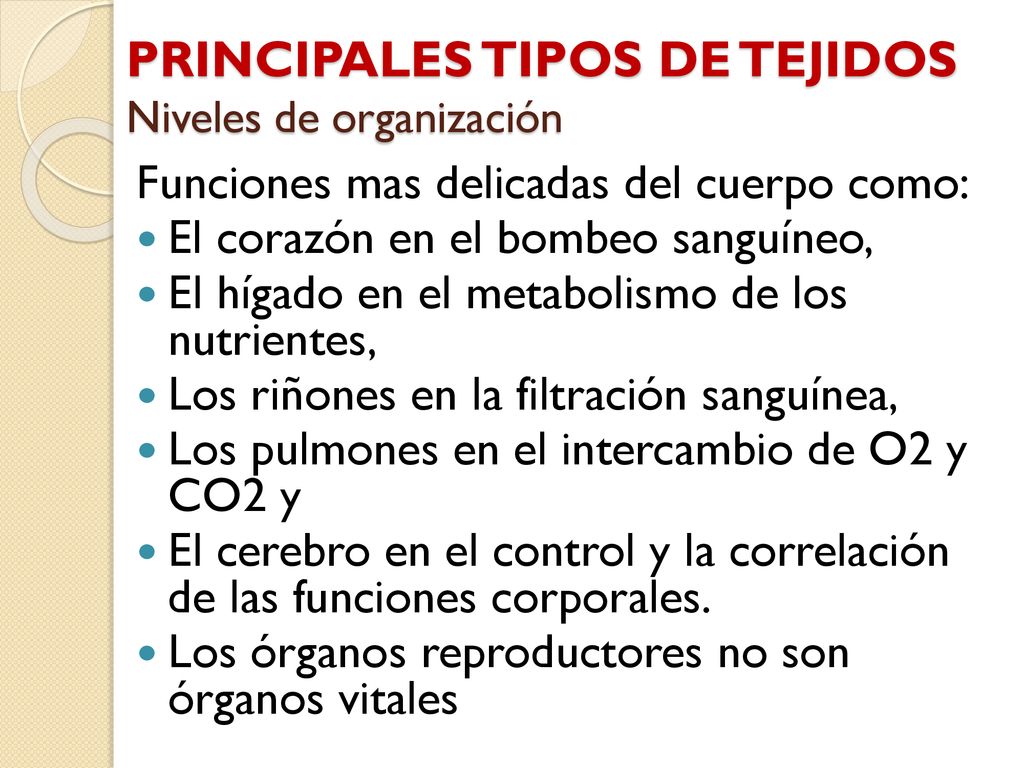 PRINCIPALES TIPOS DE TEJIDOS Niveles de organización