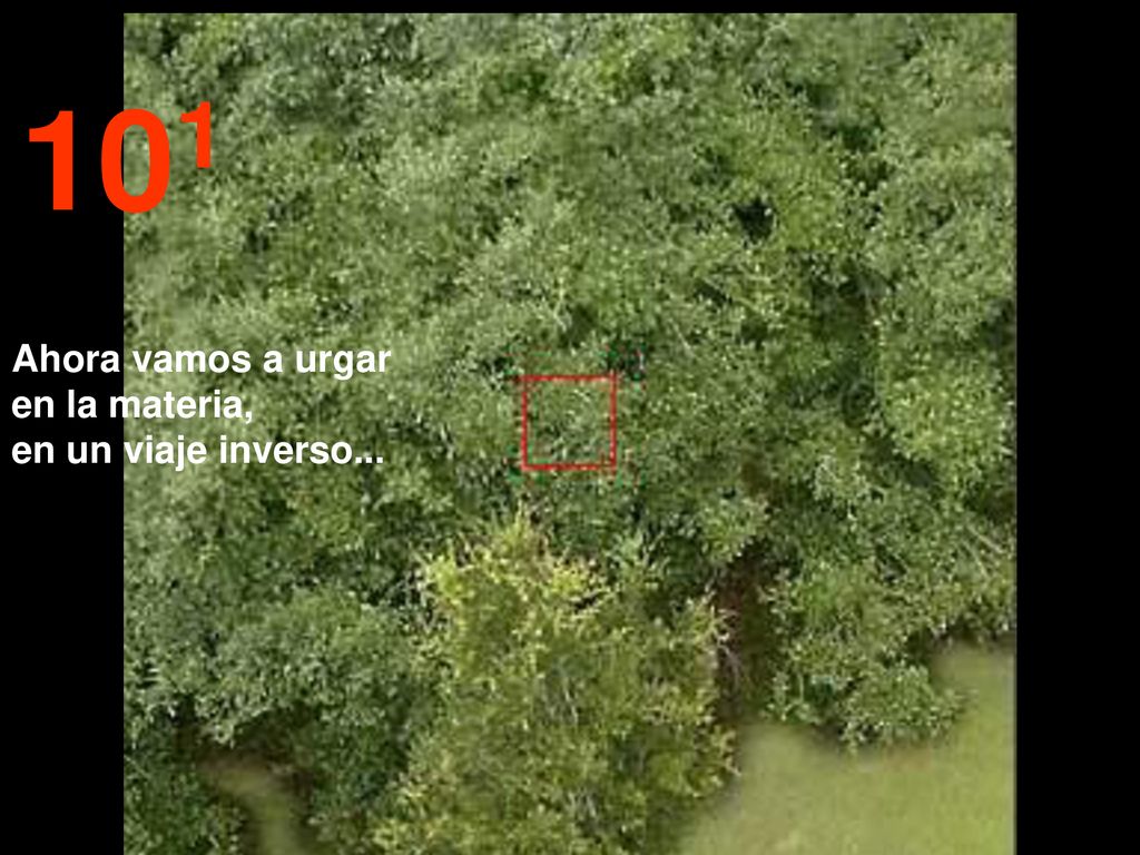 101 Ahora vamos a urgar en la materia, en un viaje inverso...