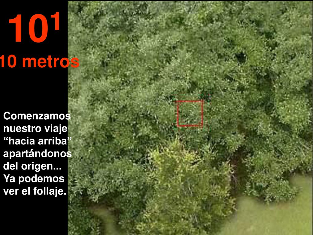 metros. Comenzamos nuestro viaje hacia arriba apartándonos del origen...