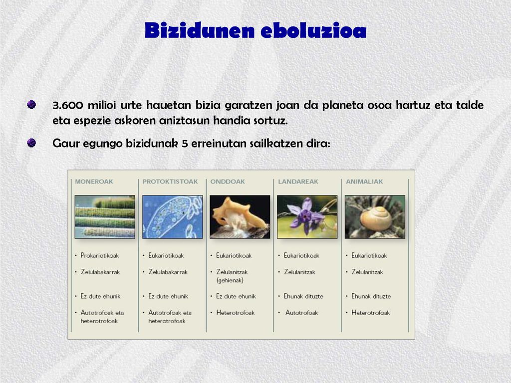 Bizidunen eboluzioa milioi urte hauetan bizia garatzen joan da planeta osoa hartuz eta talde eta espezie askoren aniztasun handia sortuz.
