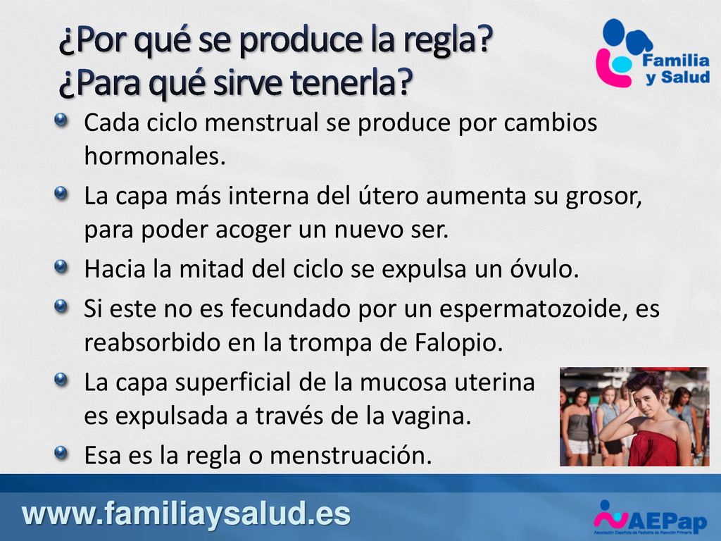 ¿Por qué se produce la regla ¿Para qué sirve tenerla