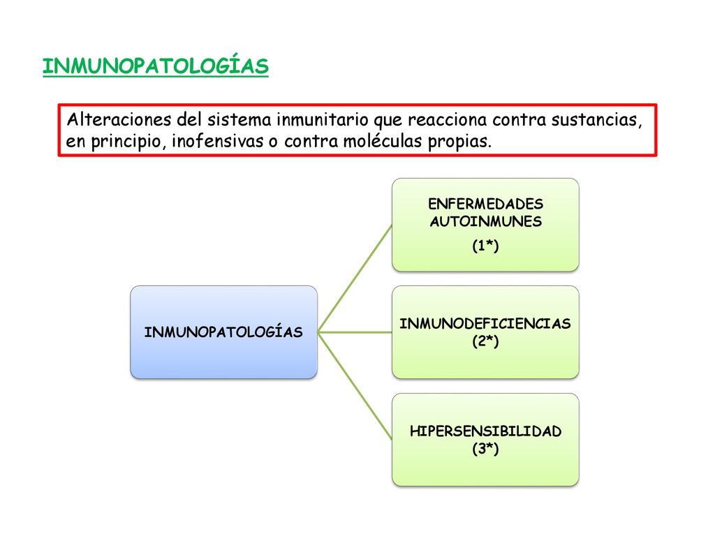 INMUNOPATOLOGÍAS Alteraciones del sistema inmunitario que reacciona contra sustancias, en principio, inofensivas o contra moléculas propias.