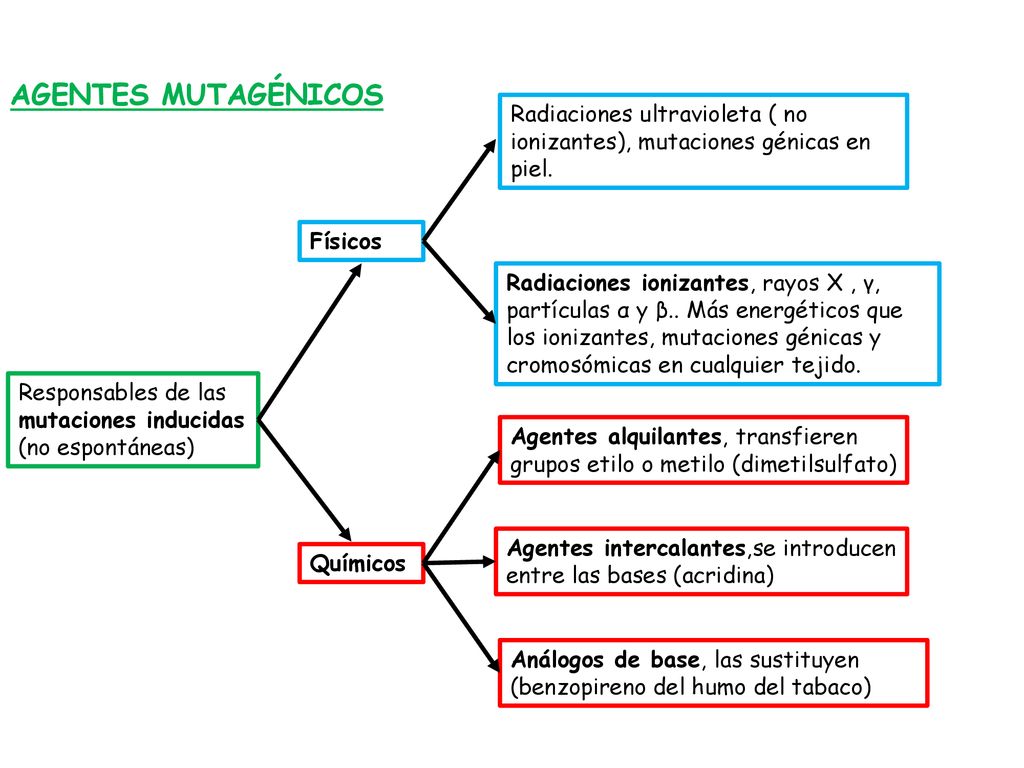 AGENTES MUTAGÉNICOS Radiaciones ultravioleta ( no ionizantes), mutaciones génicas en piel. Físicos.
