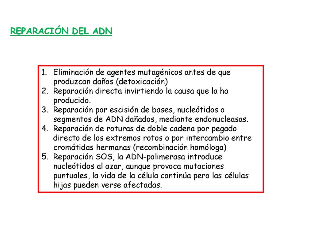 REPARACIÓN DEL ADN Eliminación de agentes mutagénicos antes de que produzcan daños (detoxicación)