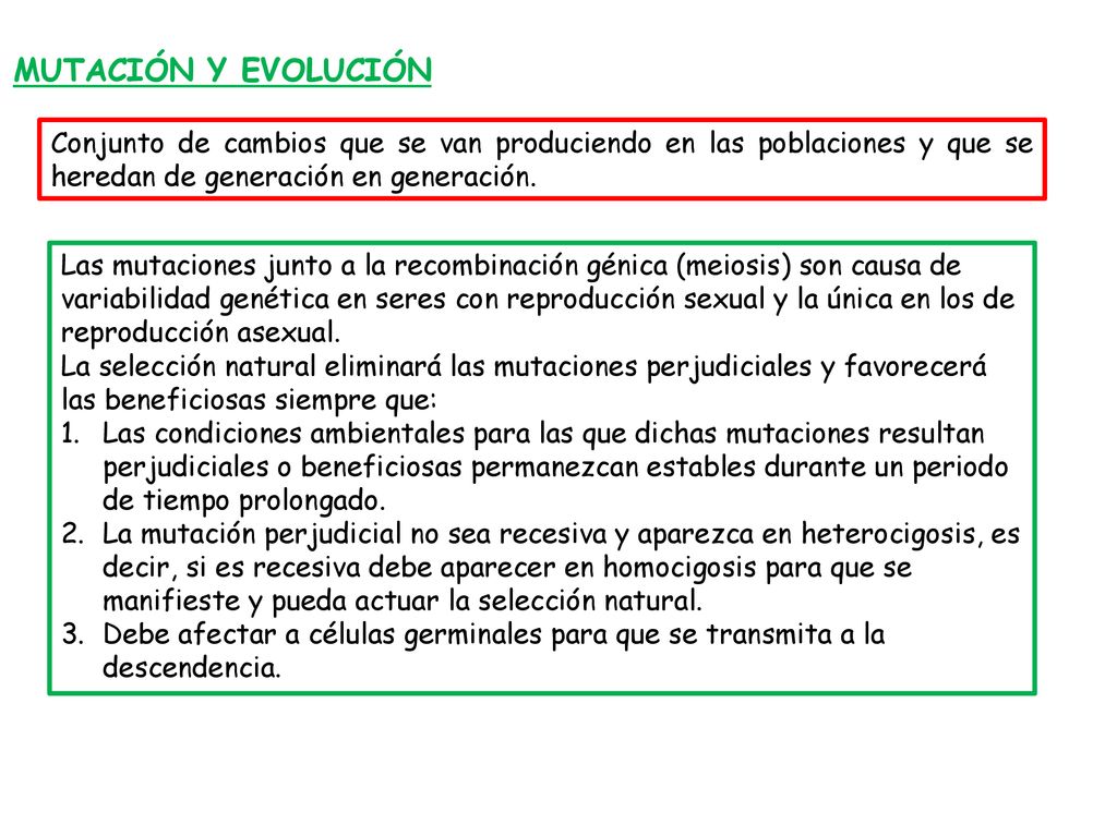MUTACIÓN Y EVOLUCIÓN Conjunto de cambios que se van produciendo en las poblaciones y que se heredan de generación en generación.