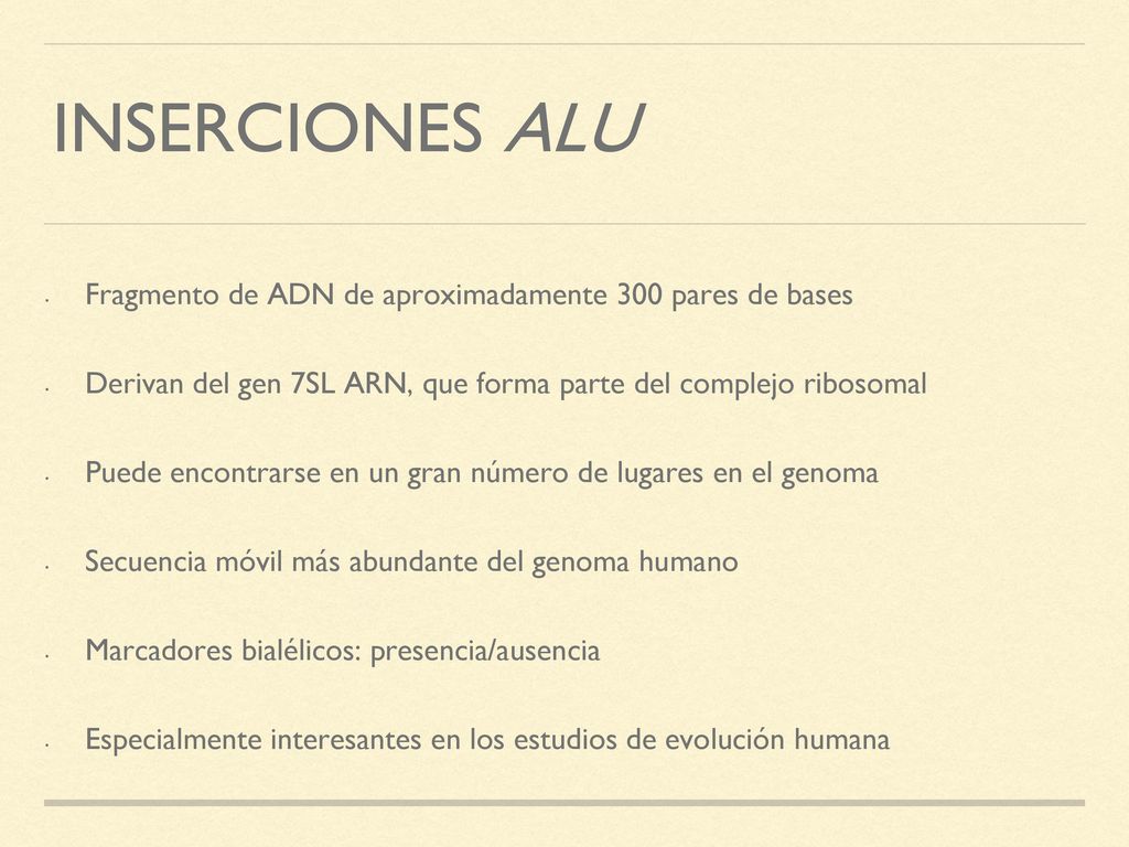 INSERCIONES ALU Fragmento de ADN de aproximadamente 300 pares de bases