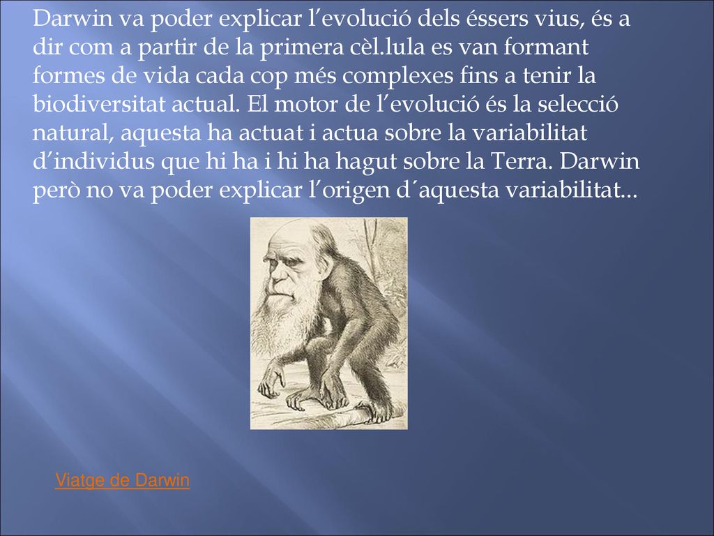 Darwin va poder explicar l’evolució dels éssers vius, és a dir com a partir de la primera cèl.lula es van formant formes de vida cada cop més complexes fins a tenir la biodiversitat actual. El motor de l’evolució és la selecció natural, aquesta ha actuat i actua sobre la variabilitat d’individus que hi ha i hi ha hagut sobre la Terra. Darwin però no va poder explicar l’origen d´aquesta variabilitat...