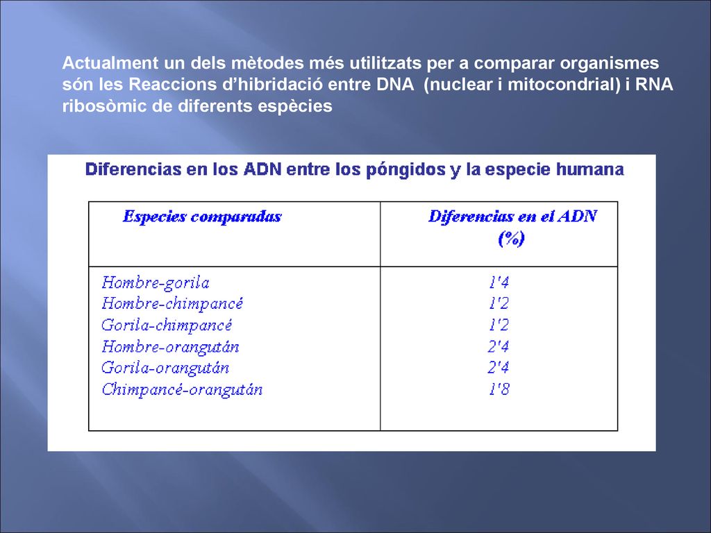 Actualment un dels mètodes més utilitzats per a comparar organismes són les Reaccions d’hibridació entre DNA (nuclear i mitocondrial) i RNA ribosòmic de diferents espècies