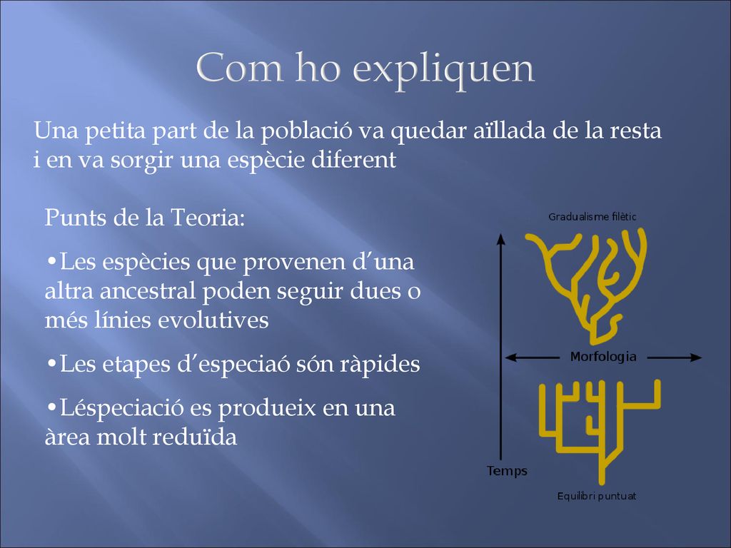 Com ho expliquen Una petita part de la població va quedar aïllada de la resta i en va sorgir una espècie diferent.
