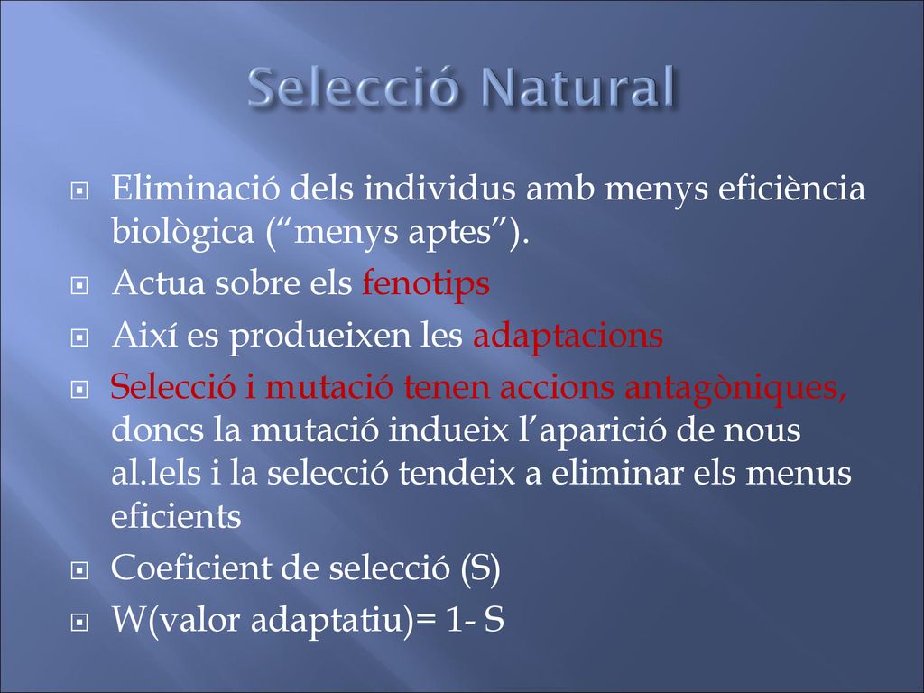 Selecció Natural Eliminació dels individus amb menys eficiència biològica ( menys aptes ). Actua sobre els fenotips.