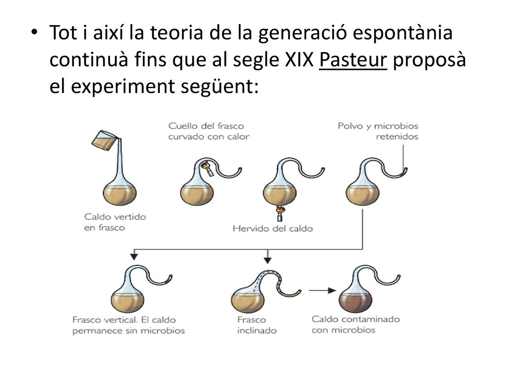 Tot i així la teoria de la generació espontània continuà fins que al segle XIX Pasteur proposà el experiment següent: