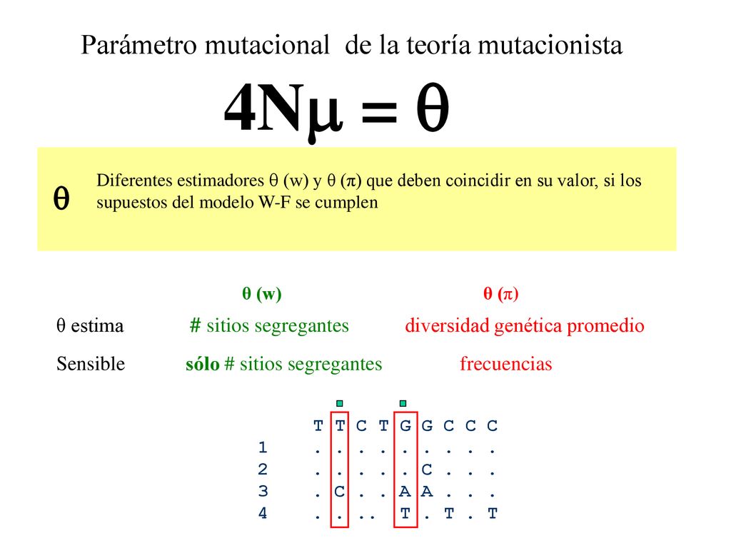 4N =   Parámetro mutacional de la teoría mutacionista