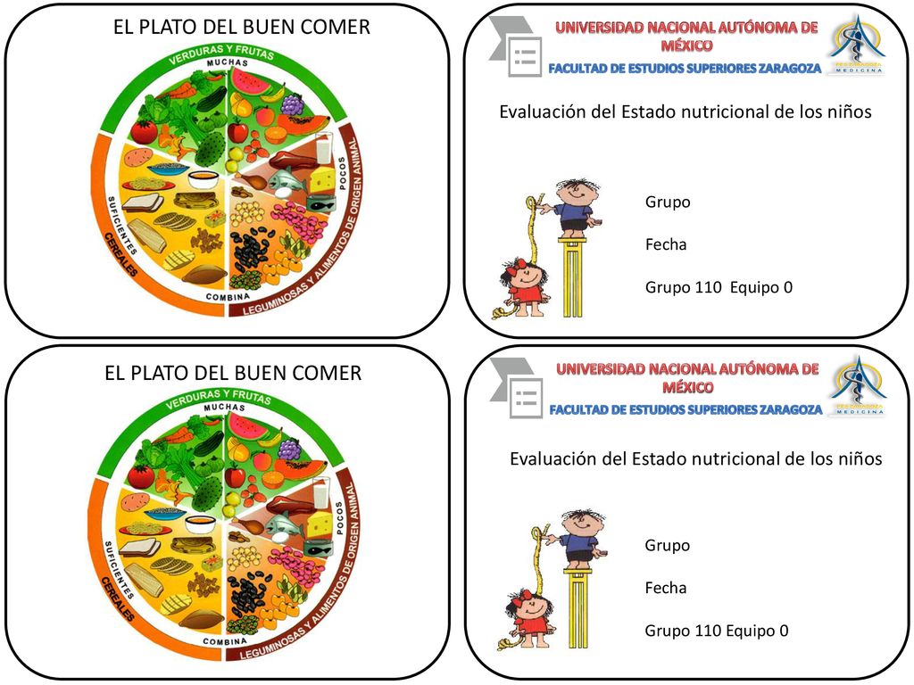 EL PLATO DEL BUEN COMER EL PLATO DEL BUEN COMER
