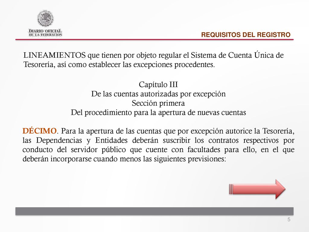 De las cuentas autorizadas por excepción Sección primera