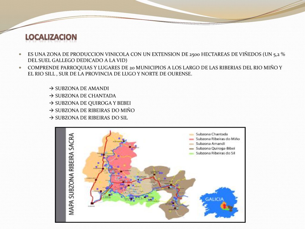 LOCALIZACION ES UNA ZONA DE PRODUCCION VINICOLA CON UN EXTENSION DE 2500 HECTAREAS DE VIÑEDOS (UN 5,2 % DEL SUEL GALLEGO DEDICADO A LA VID)