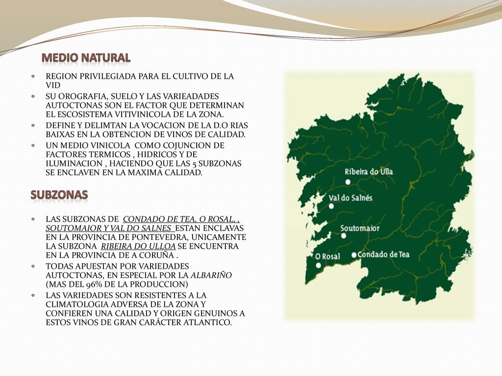 MEDIO NATURAL SUBZONAS REGION PRIVILEGIADA PARA EL CULTIVO DE LA VID