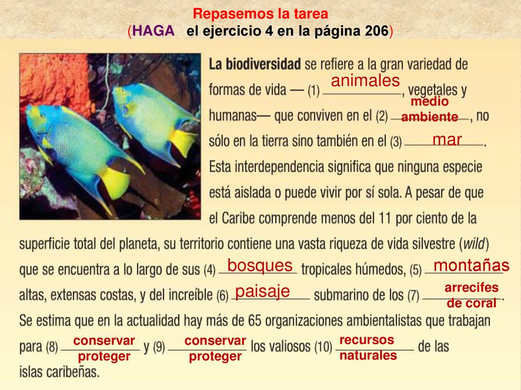 Repasemos la tarea (HAGA el ejercicio 4 en la página 206)