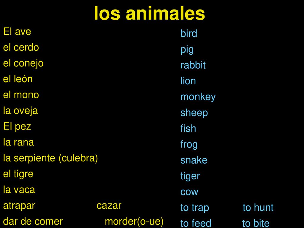 los animales El ave bird el cerdo pig el conejo rabbit el león lion