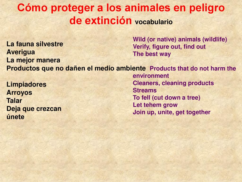 Cómo proteger a los animales en peligro de extinción vocabulario