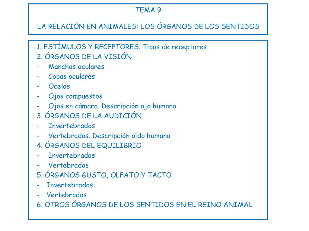 TEMA 9 LA RELACIÓN EN ANIMALES: LOS ÓRGANOS DE LOS SENTIDOS