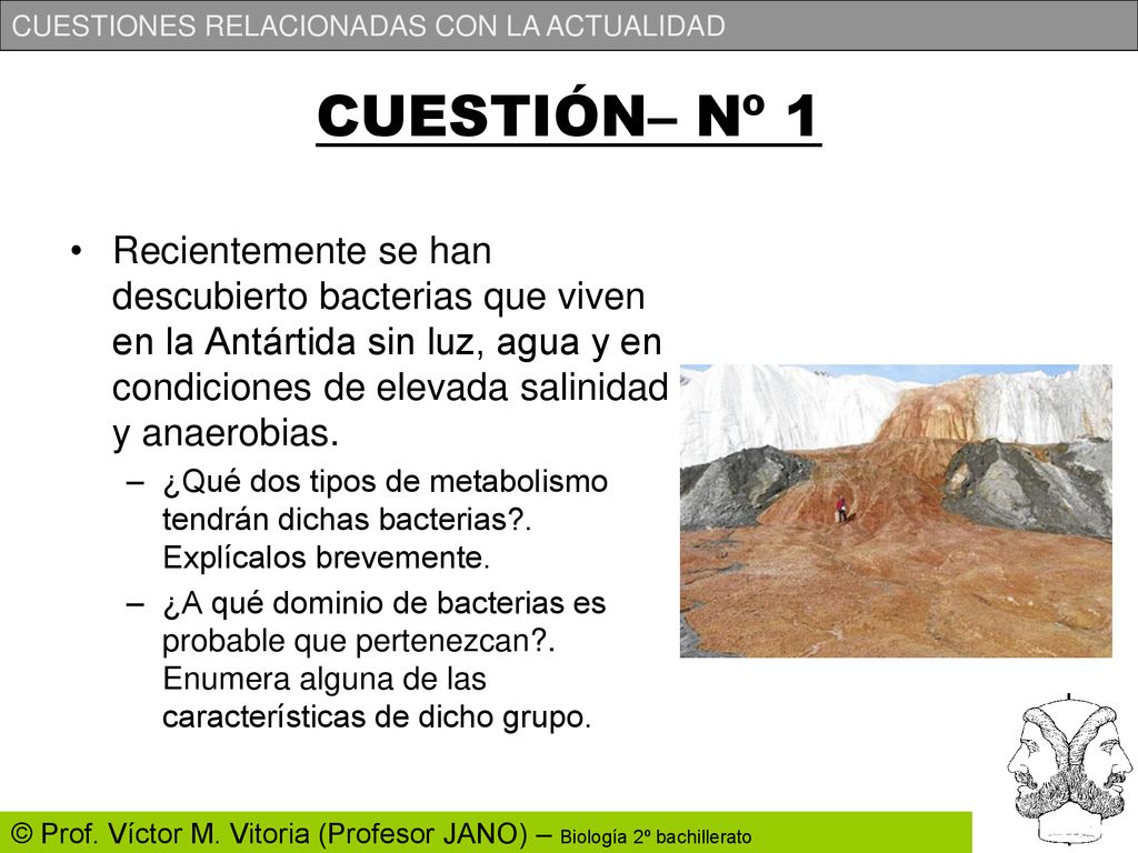CUESTIÓN– Nº 1 Recientemente se han descubierto bacterias que viven en la Antártida sin luz, agua y en condiciones de elevada salinidad y anaerobias.