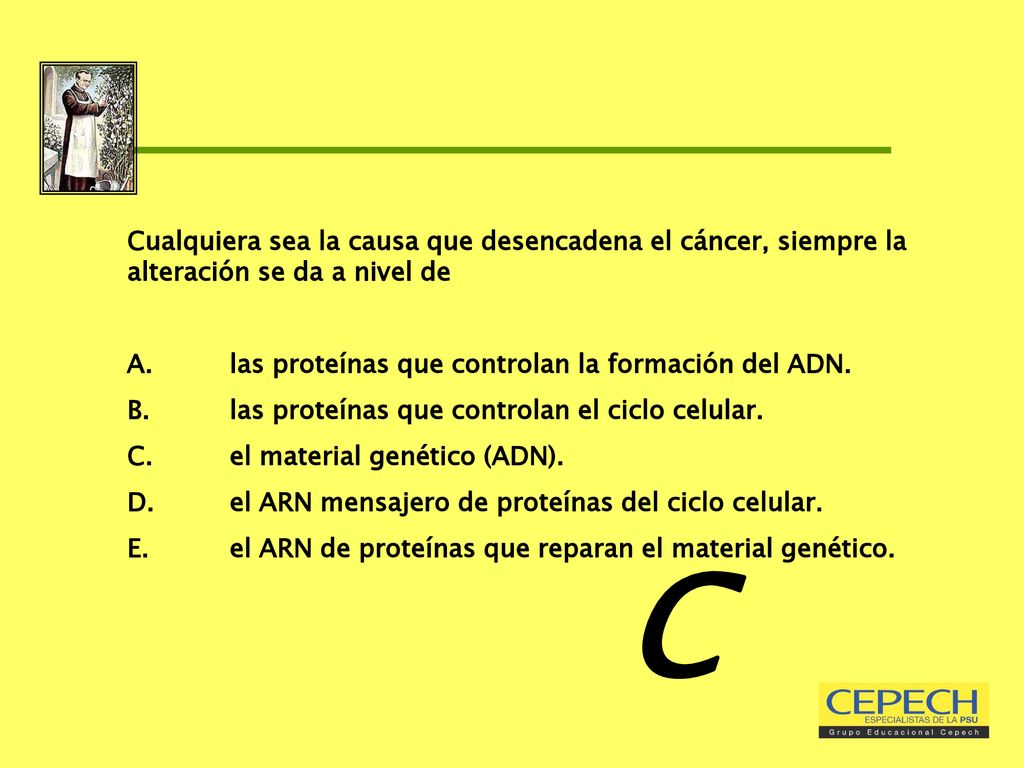 Cualquiera sea la causa que desencadena el cáncer, siempre la alteración se da a nivel de