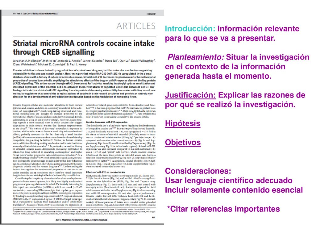 Introducción: Información relevante para lo que se va a presentar.