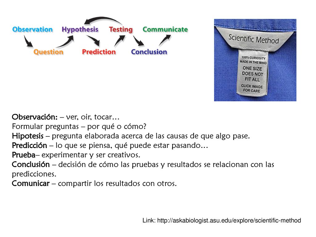 Observación: – ver, oir, tocar… Formular preguntas – por qué o cómo