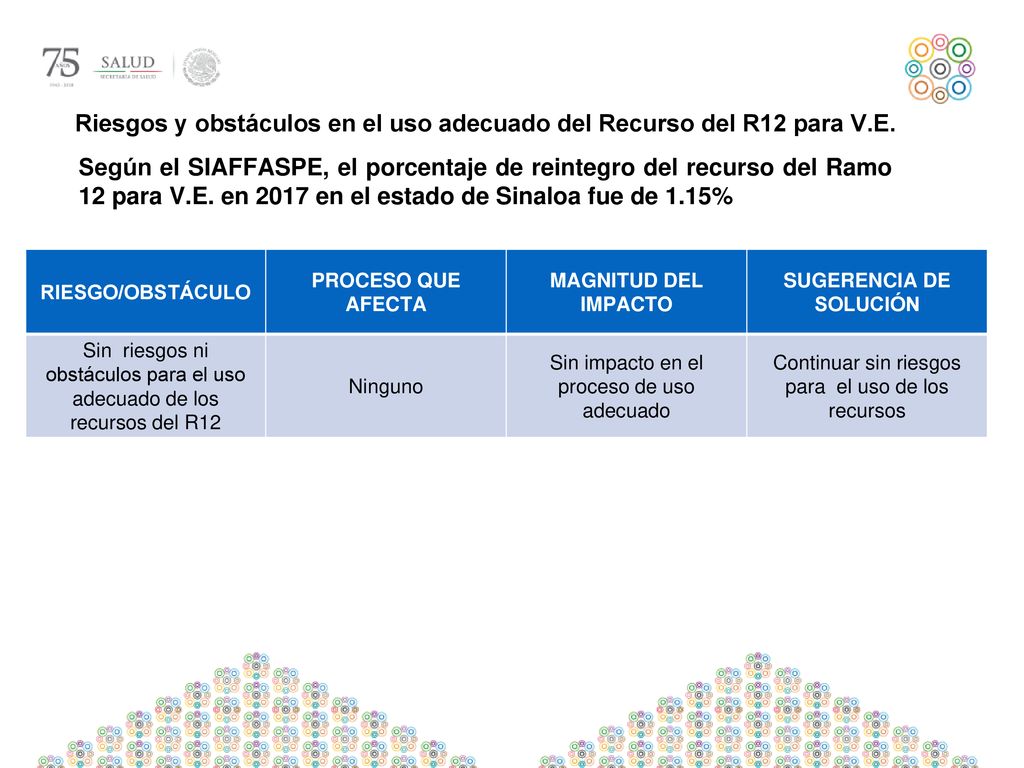 Riesgos y obstáculos en el uso adecuado del Recurso del R12 para V.E.