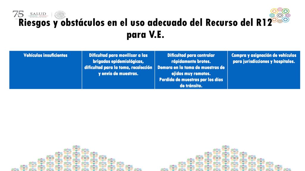 Riesgos y obstáculos en el uso adecuado del Recurso del R12 para V.E.