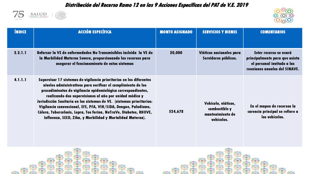 Distribución del Recurso Ramo 12 en las 9 Acciones Específicas del PAT de V.E. 2019