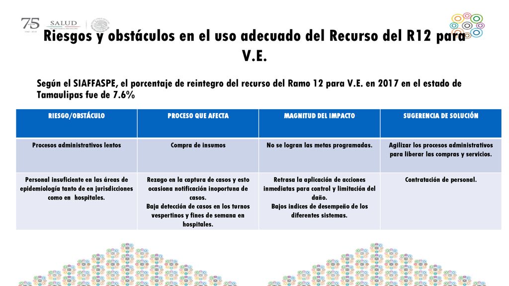 Riesgos y obstáculos en el uso adecuado del Recurso del R12 para V.E.