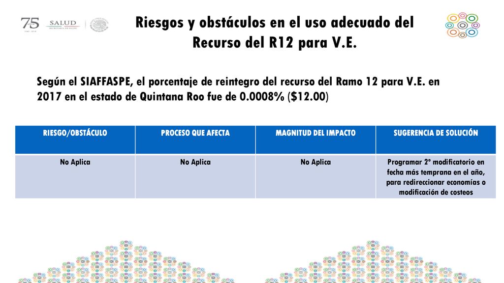 Riesgos y obstáculos en el uso adecuado del Recurso del R12 para V.E.