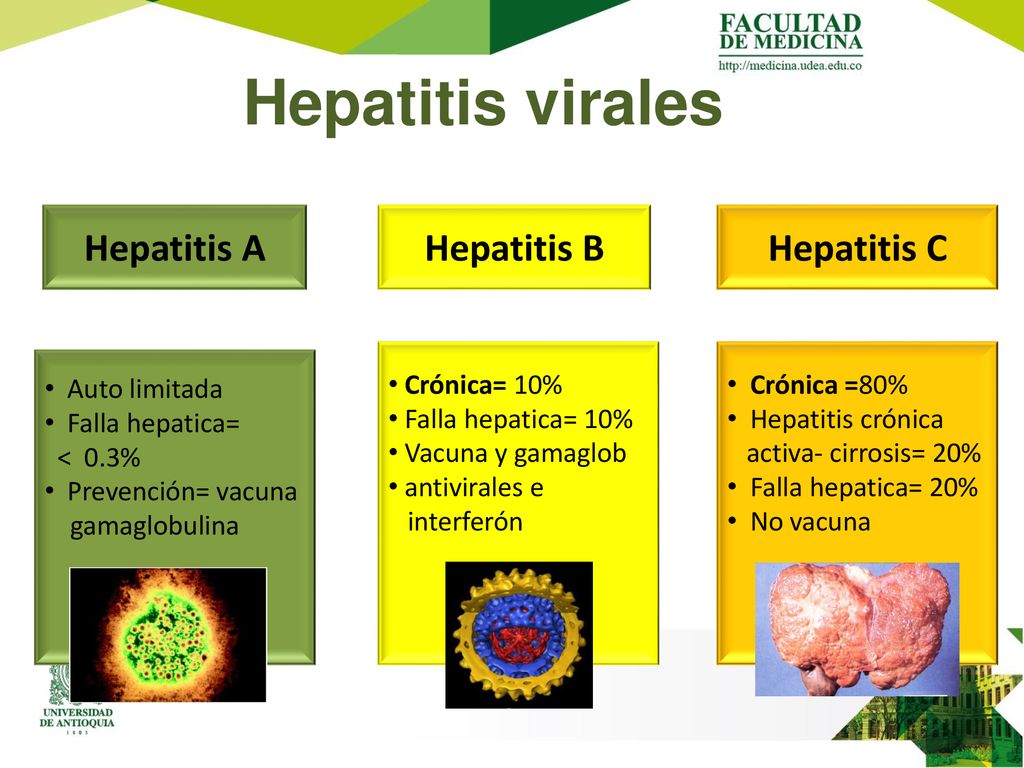 Hepatitis virales Hepatitis A Hepatitis B Hepatitis C Crónica= 10%