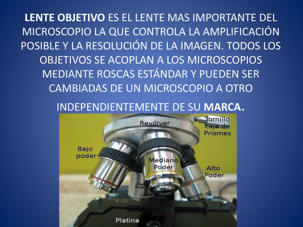 LENTE OBJETIVO ES EL LENTE MAS IMPORTANTE DEL MICROSCOPIO LA QUE CONTROLA LA AMPLIFICACIÓN POSIBLE Y LA RESOLUCIÓN DE LA IMAGEN.