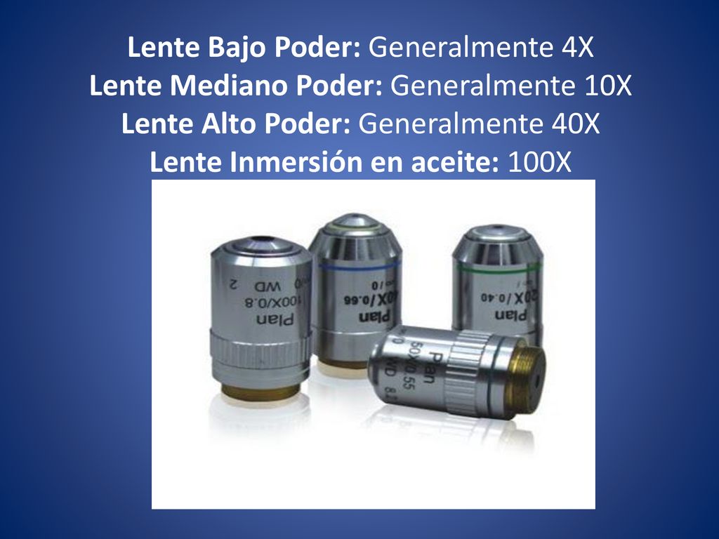 Lente Bajo Poder: Generalmente 4X Lente Mediano Poder: Generalmente 10X Lente Alto Poder: Generalmente 40X Lente Inmersión en aceite: 100X