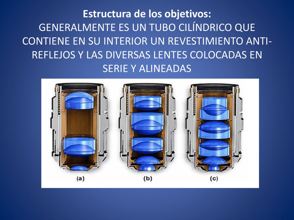 Estructura de los objetivos: GENERALMENTE ES UN TUBO CILÍNDRICO QUE CONTIENE EN SU INTERIOR UN REVESTIMIENTO ANTI-REFLEJOS Y LAS DIVERSAS LENTES COLOCADAS EN SERIE Y ALINEADAS