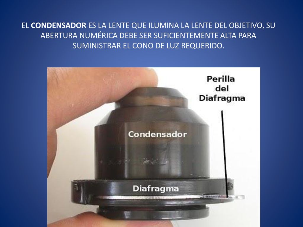 EL CONDENSADOR ES LA LENTE QUE ILUMINA LA LENTE DEL OBJETIVO, SU ABERTURA NUMÉRICA DEBE SER SUFICIENTEMENTE ALTA PARA SUMINISTRAR EL CONO DE LUZ REQUERIDO.