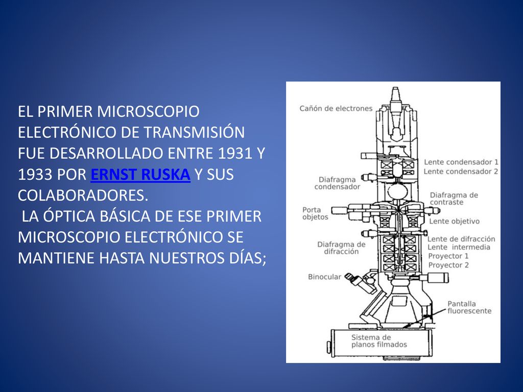 EL PRIMER MICROSCOPIO ELECTRÓNICO DE TRANSMISIÓN FUE DESARROLLADO ENTRE 1931 Y 1933 POR ERNST RUSKA Y SUS COLABORADORES.