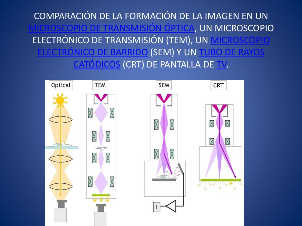 COMPARACIÓN DE LA FORMACIÓN DE LA IMAGEN EN UN MICROSCOPIO DE TRANSMISIÓN ÓPTICA, UN MICROSCOPIO ELECTRÓNICO DE TRANSMISIÓN (TEM), UN MICROSCOPIO ELECTRÓNICO DE BARRIDO (SEM) Y UN TUBO DE RAYOS CATÓDICOS (CRT) DE PANTALLA DE TV.