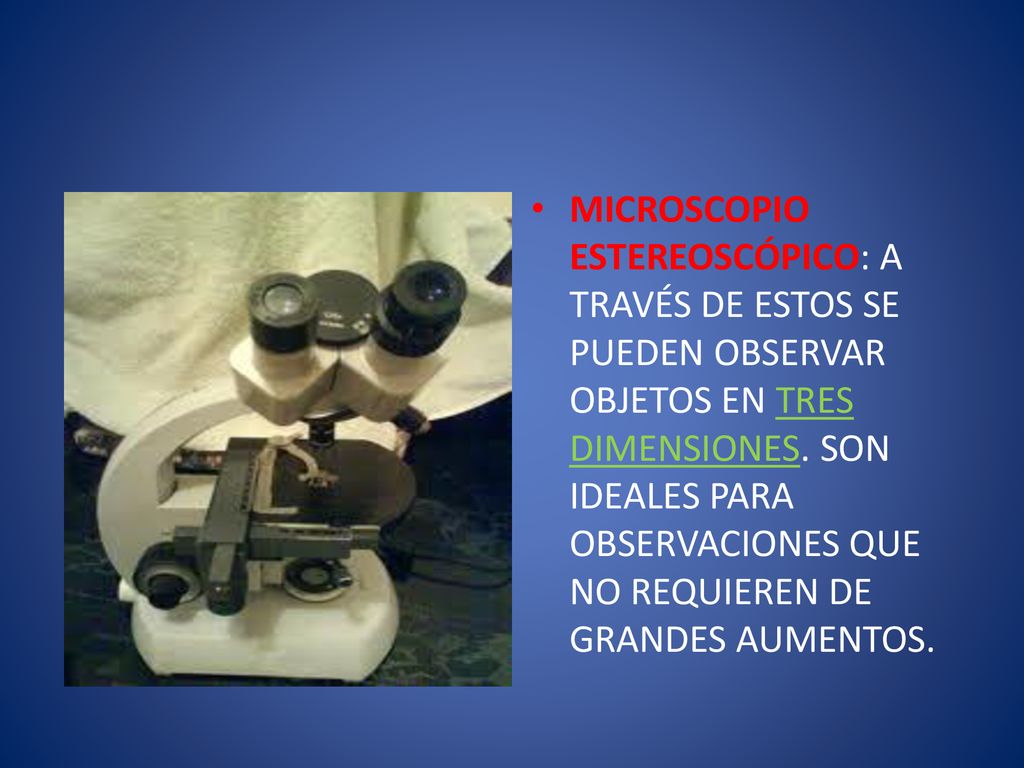 MICROSCOPIO ESTEREOSCÓPICO: A TRAVÉS DE ESTOS SE PUEDEN OBSERVAR OBJETOS EN TRES DIMENSIONES.