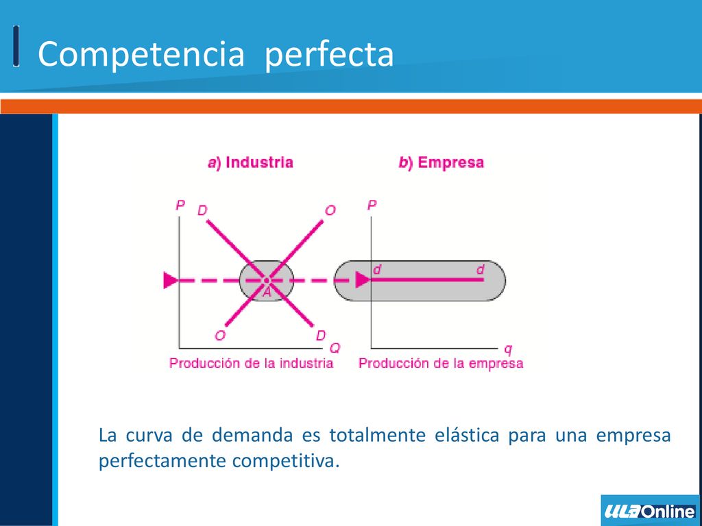 Competencia perfecta La curva de demanda es totalmente elástica para una empresa perfectamente competitiva.